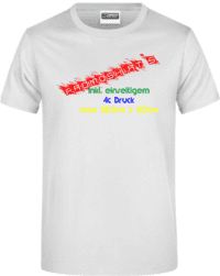 100 Stück Basic Promoshirts einseitig 4c Druck